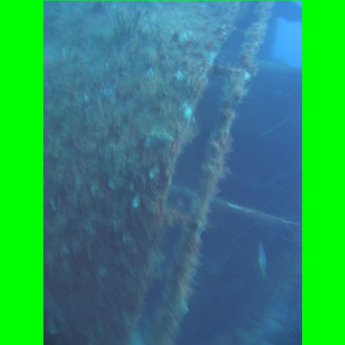 Dive WP Wrecks 25-Oct-09_271.JPG